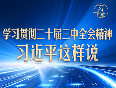 习言道｜学习贯彻二十届三中全会精神，习近平这样说