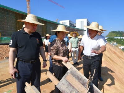 蓝伟东到梅江区调研挂钩联系重点项目建设情况：加快项目建设进度 确保早日建成投产