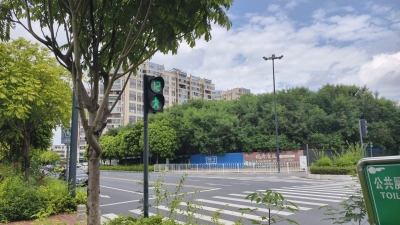 梅城侨乡路人行红绿灯装错方向，市民出行遇困扰