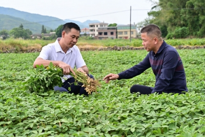平远土地综合整治“变形记”—— 小田变大田 乡村展新颜