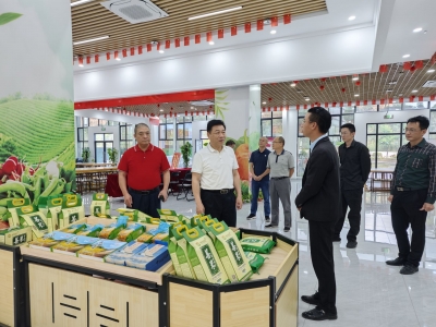 曾祥海到五华县调研督导“百千万工程”等工作：突出抓产业   聚力促发展