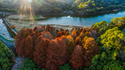 梅江区清凉山生态公益林示范区，入选“广东十大最美公益林（天然林）打卡点”