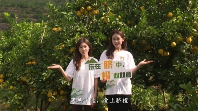 平远脐橙喜迎丰收，这些高校师生变身“直播带货”达人！