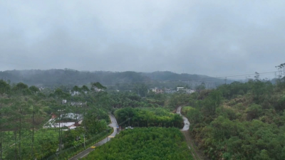 平远新绿洲林业获省级保障性苗圃基地认定