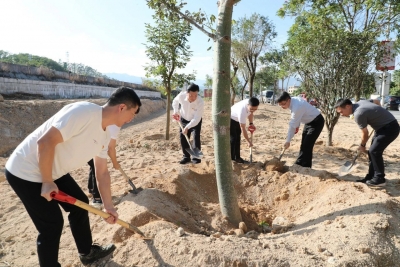 张志锋参加机关联基层共建共管绿美丰顺大行动植树活动并开展调研：坚持力度不减标准不降数量不少 高质量完成今冬明春乡村绿化工作