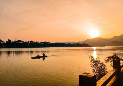 寿乡蕉岭·桂花