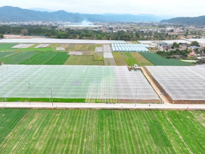 小田并大田 闲地变宝地！蕉岭县着力推进全域土地综合整治，实现新增耕地1679.53亩