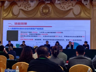 饲料“新秘方”年产10万吨！“木本源新型蛋白饲料加工与高效转化技术”成果发布会在五华举行