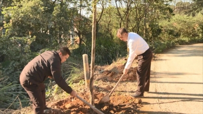 丰顺县政协机关党支部联合北斗镇村干部开展机关联基层共建共管绿美丰顺植树活动