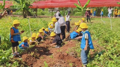 百千万工程·镇村行丨城东镇：特色产业推动农文旅融合 激活乡村振兴新活力