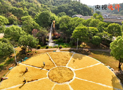 【央视快评】奋力谱写供销合作事业高质量发展新篇章