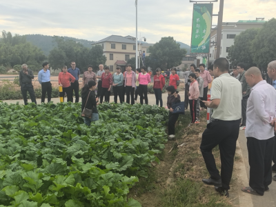 梅州市农林科学院科技支撑三圳镇农业产业提质增效技术培训会举行