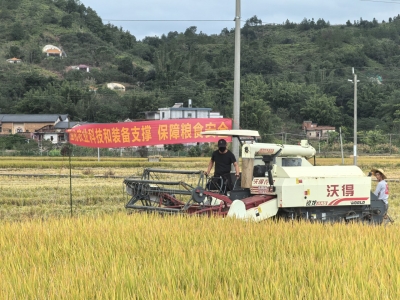 晚稻机收减损哪家强？梅州这场技能大比武亮出“真功夫”