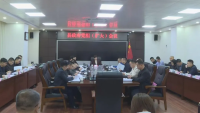 丰顺县政府党组 (扩大)会议和县政府常务会议召开