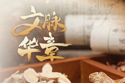 文脉华章丨做好中医药守正创新、传承发展