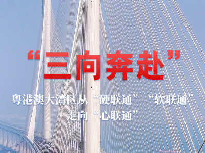 “三向奔赴”——粤港澳大湾区从“硬联通”“软联通”走向“心联通”