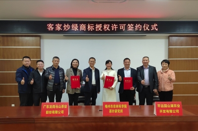 梅州21家企业获“客家炒绿”商标授权