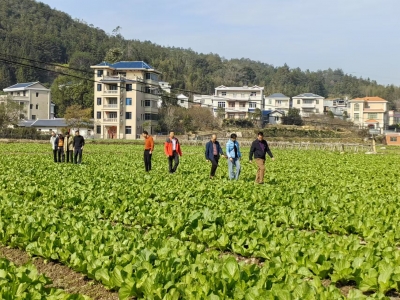 农业加科技 农村有活力！梅州市农林科学院特派员团队与平远县河头镇深化合作