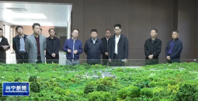省林业局调研组到兴宁调研绿美广东生态建设和油茶产业发展等工作