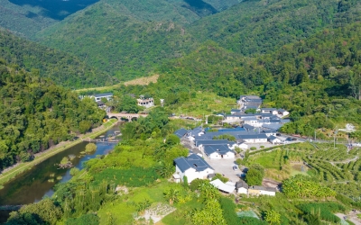 绿美共享！梅州深入推进绿美梅州生态建设，构建全域绿美大格局~