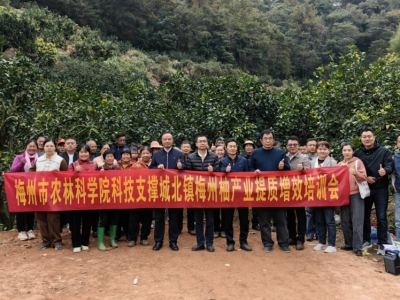 市农林科学院科技支撑梅州柚产业提质增效培训会成功举办
