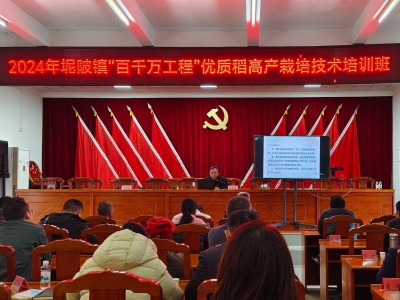 兴宁坭陂镇举办优质稻高产栽培技术培训班