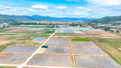 变政策红利为发展动力！蕉岭县加力提速打造“百千万工程”典型县和苏区融湾先行区综合示范窗口