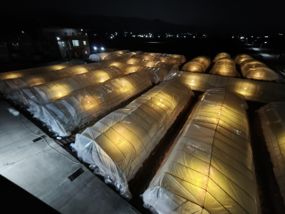 持续低温！育苗大棚“添衣”防寒，梅州烟草筑牢烟苗“防冻墙”