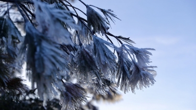 最低5°C或以下！下周，梅州将有大范围低温霜冻天气