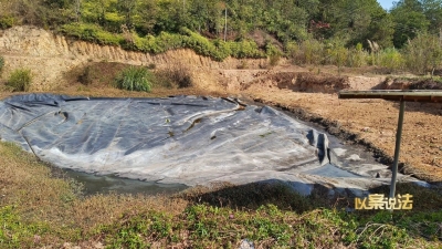 非法排污，梅县区一畜禽养殖企业被罚款12万元！