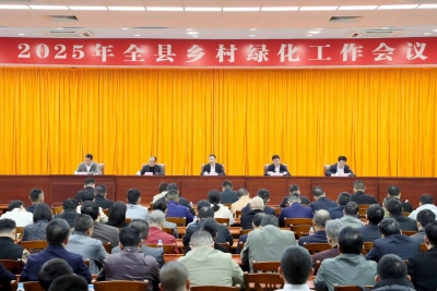 2025年丰顺县乡村绿化工作会议召开：聚焦重点压实责任 推动任务落细落实