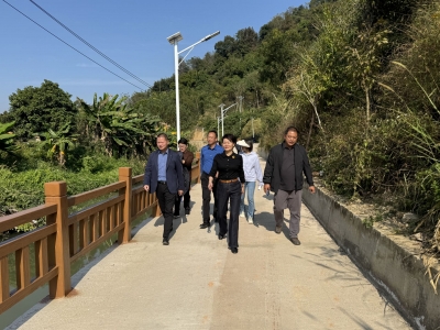 曾碧玉到长沙镇大密村调研“百千万工程”项目开展情况：群策群力推动“百千万工程”