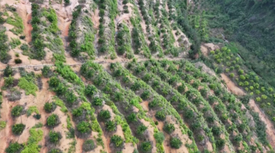 加力提速推进“百千万工程” ！平远河头绘就“十里水乡·梦里老家”新画卷