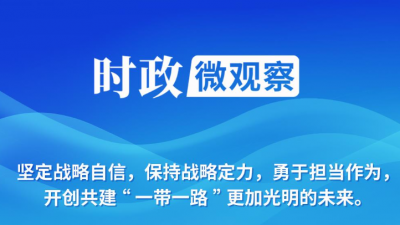 时政微观察丨从四次座谈会读懂“一张蓝图绘到底”