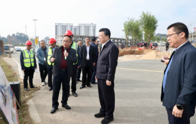 张志锋到丰顺八乡山镇调研“百千万工程”并督导检查重点领域工作