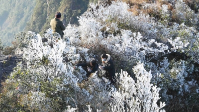 雪落冬藏，大雪节气怎么过？