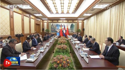 习近平同柬埔寨人民党主席、参议院主席洪森会谈