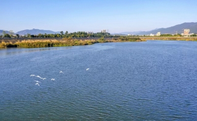 寿乡蕉岭·桂花