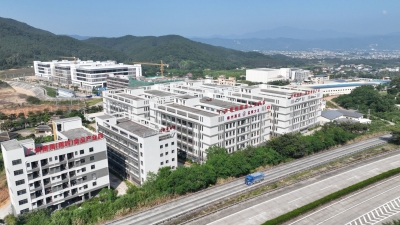 栽好梧桐树，引得凤来栖！蕉华园区持续创优园区发展环境