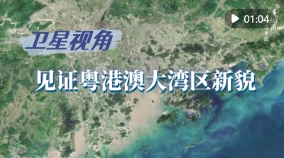 循着总书记关切，见证粤港澳大湾区新貌