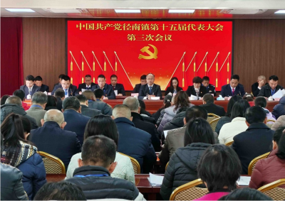 中国共产党径南镇第十五届代表大会第三次会议胜利召开