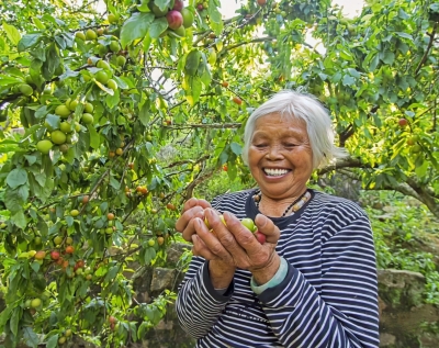 致富有“李”！五华双华镇党建引领农文旅深度融合，走出发展新路子