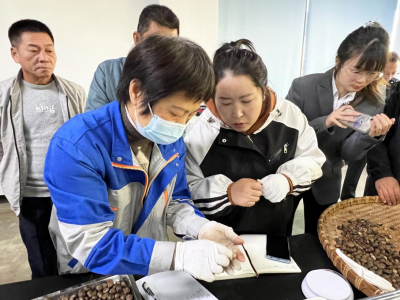 广东首次油茶籽期货模拟交割测试在兴宁市举行