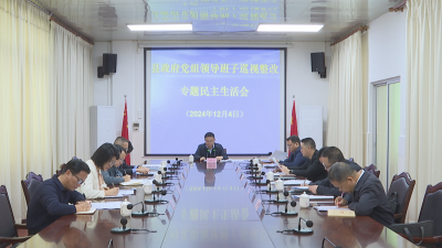 蕉岭县政府党组领导班子召开巡视整改专题民主生活会 以巡视整改新成效加快推动“百千万工程”走深走实