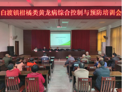 驻梅县区白渡镇工作队：邀请专家送课下乡，科技赋能“百千万工程”