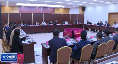 广州4A整合营销传播委员会考察团到兴宁考察投资环境