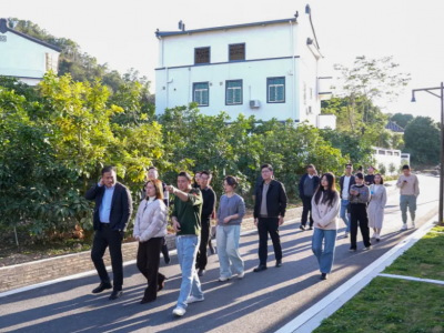 团聚“青”力量！梅县区开展“百千万工程”和产业发展调研活动