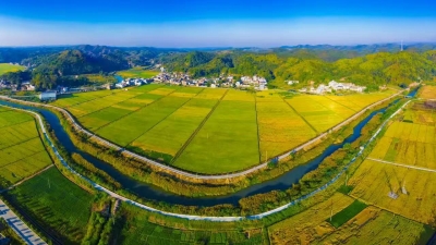 答好“三问” 破解村集体经济发展“密码”！兴宁多方发力开创乡村振兴新局面