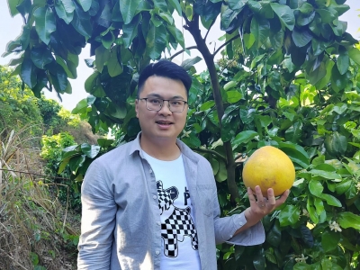 “新农人”→“兴农人”！大埔西河漳北村官维远：返乡创业种蜜柚