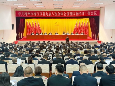 中共梅江区委九届八次全会暨区委经济工作会议召开